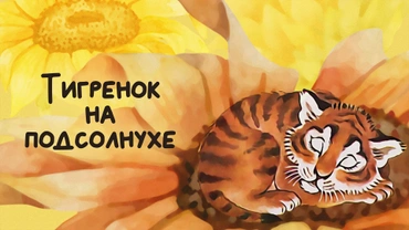 Тигренок на подсолнухе