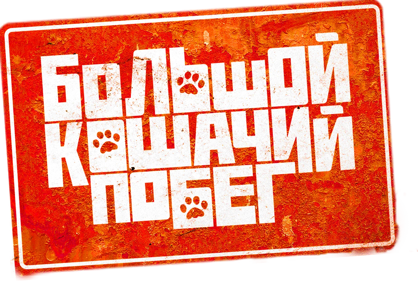 Большой кошачий побег