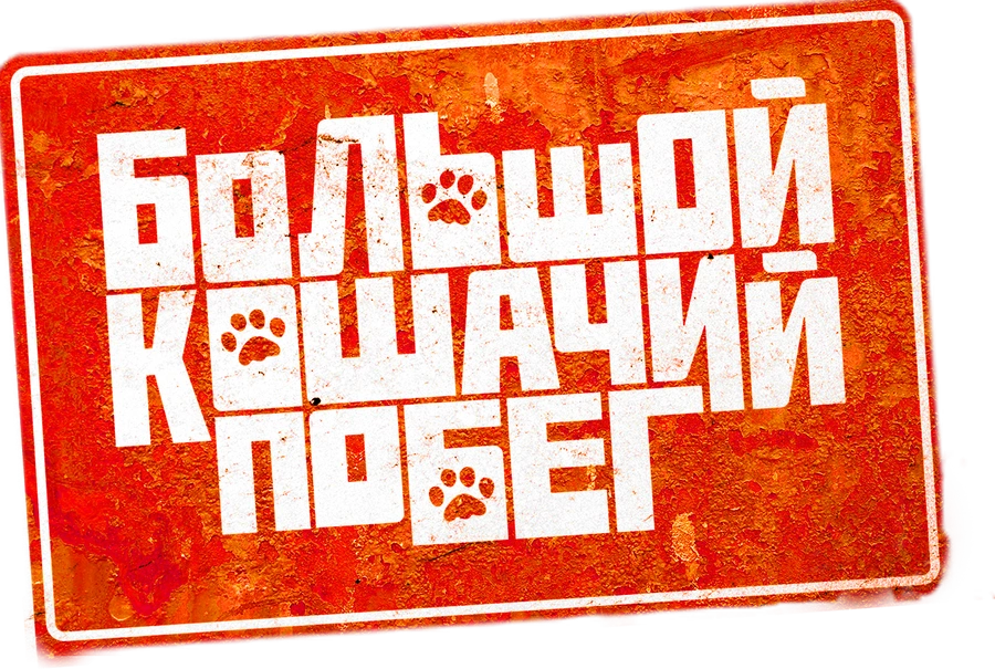 Большой кошачий побег