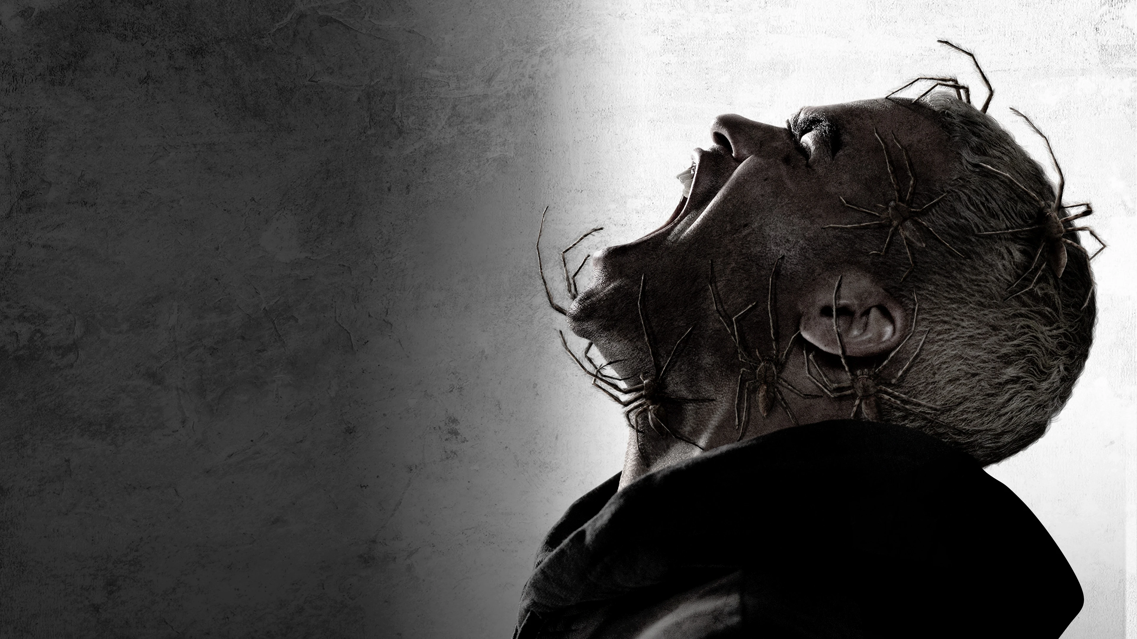 Паутина страха