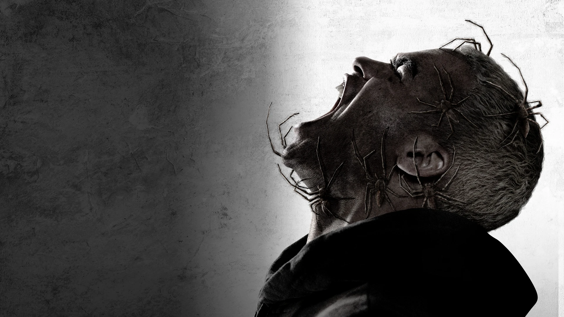 Паутина страха