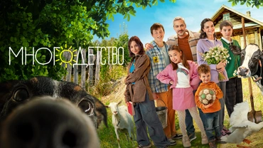 Многодетство