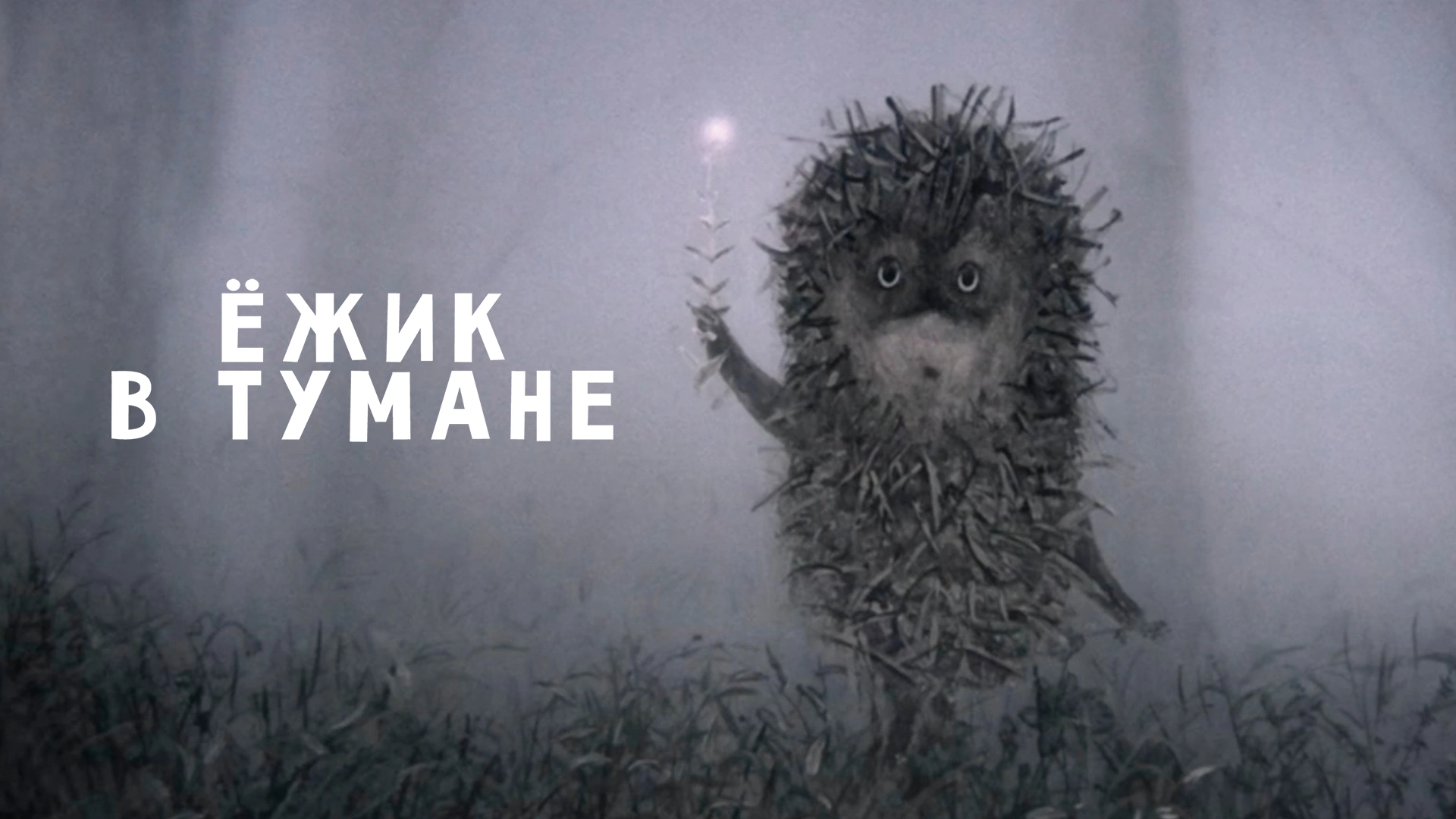 Ёжик в тумане