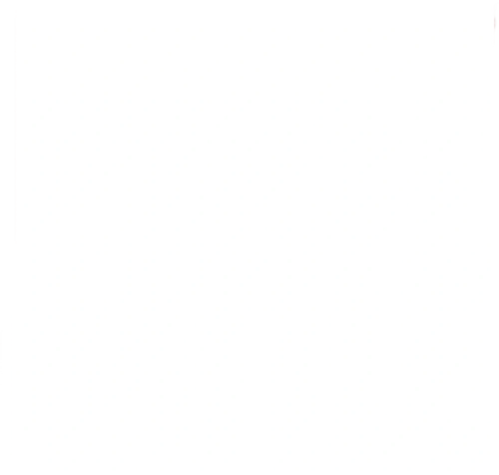 RoastBattle