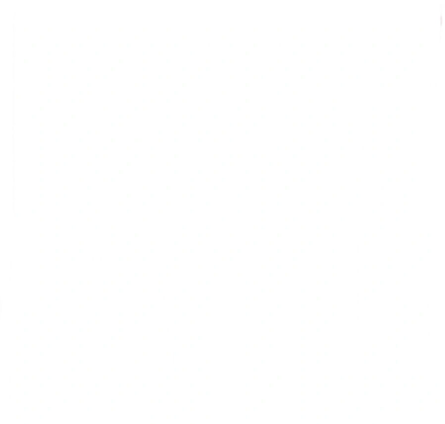 RoastBattle