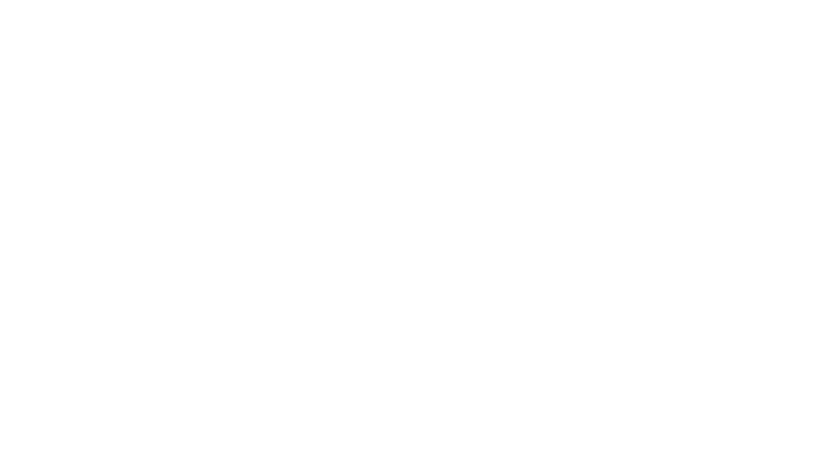 Самозванцы