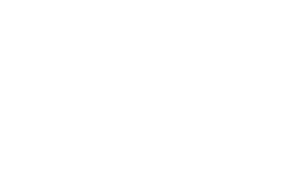 Путь за мечтой