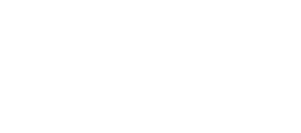 Дорогие товарищи!