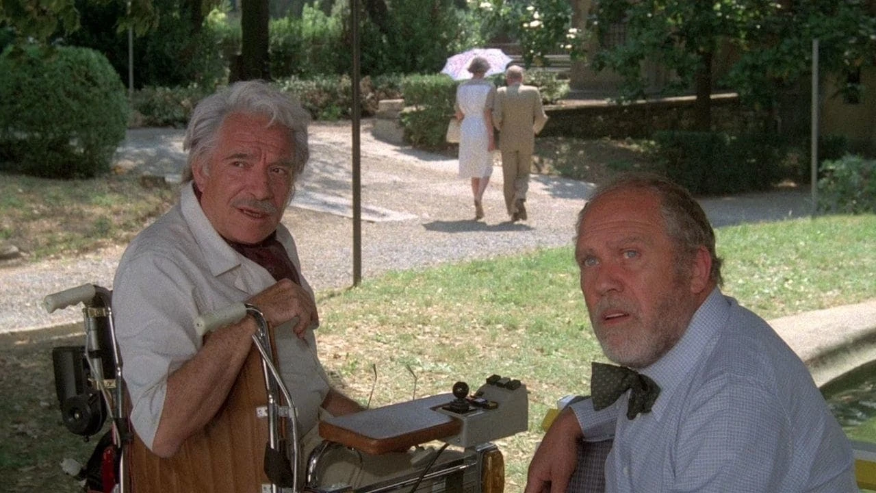 Мои друзья, часть 3