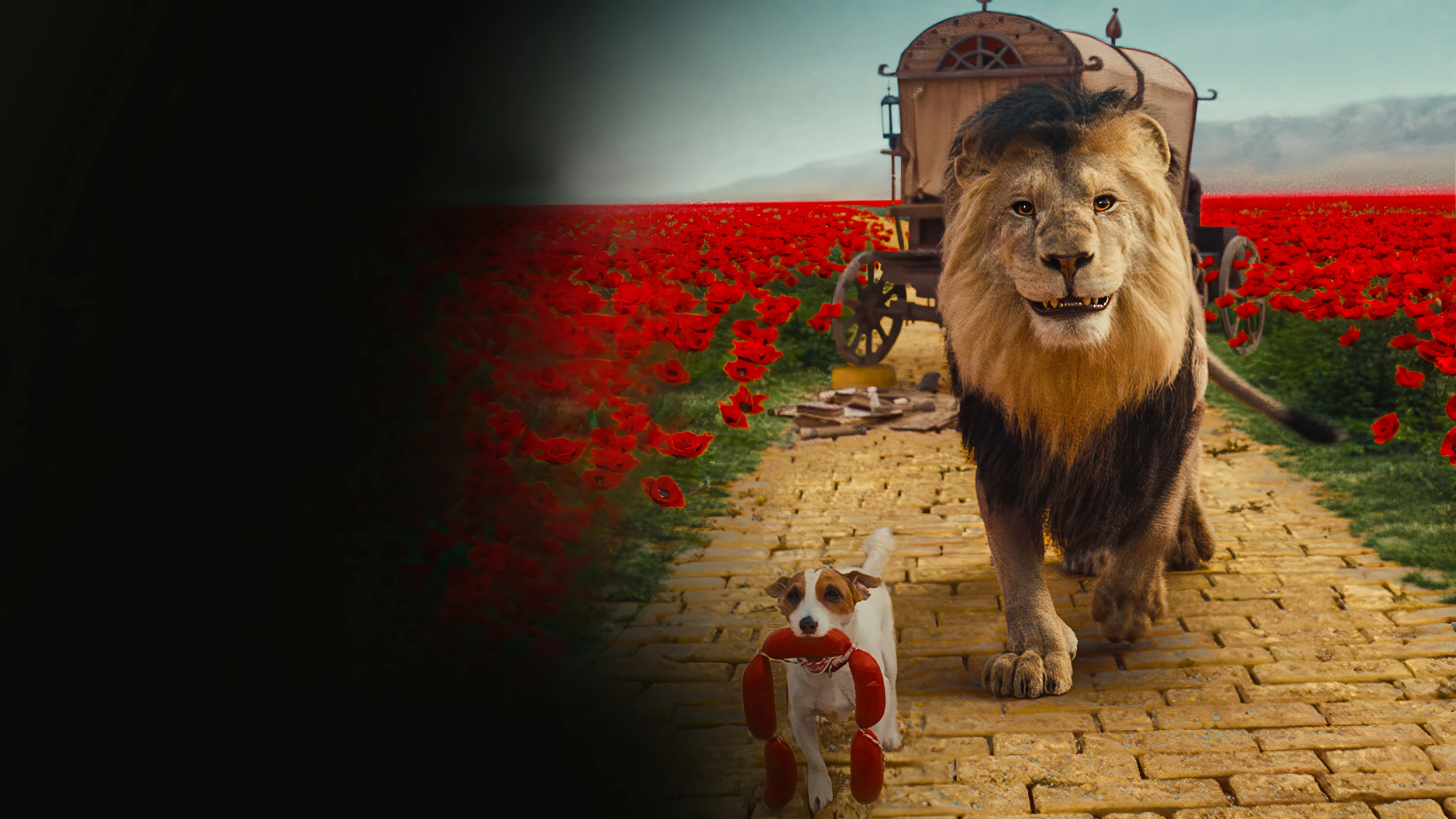 Сон царя зверей