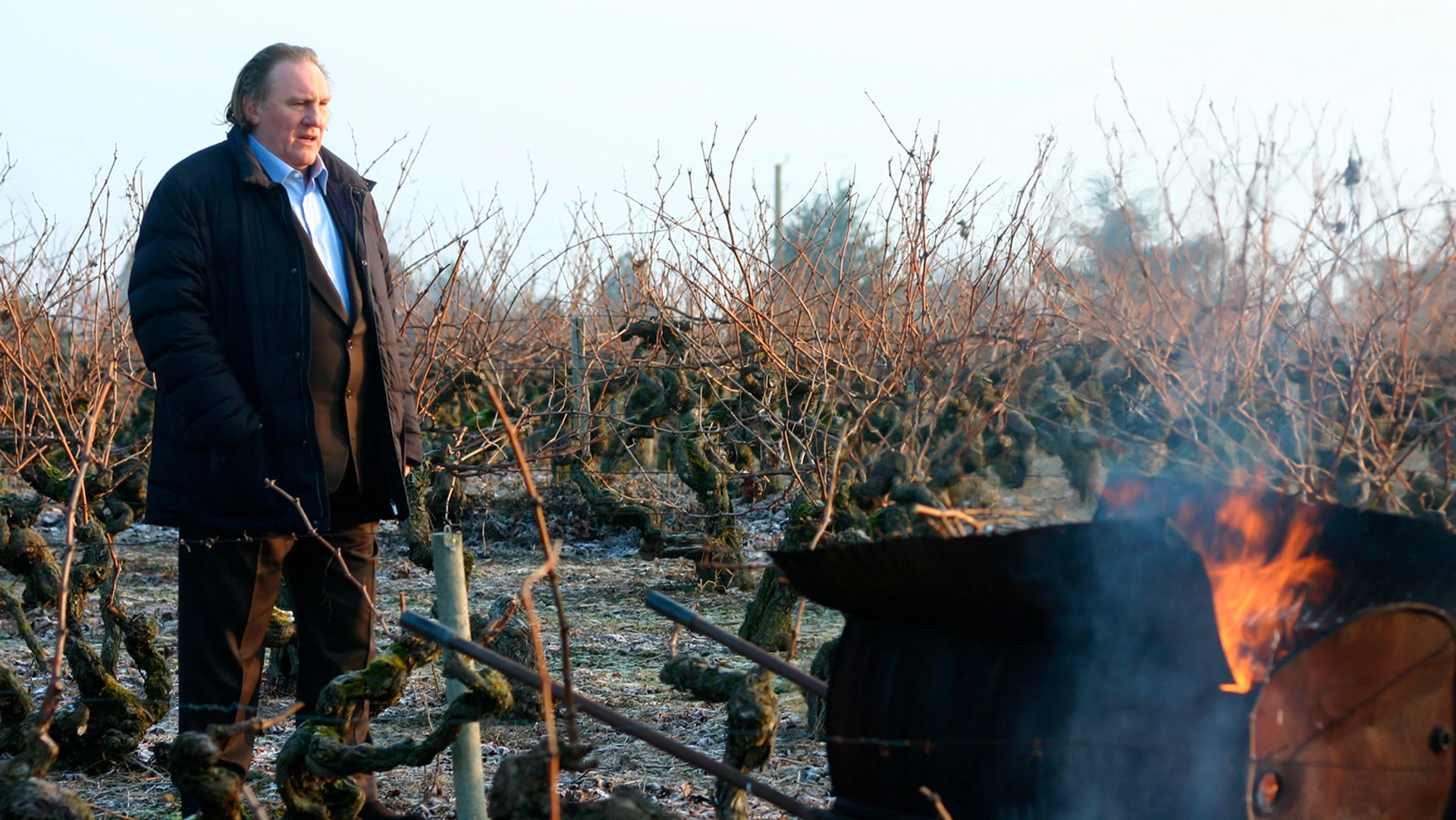 Зимняя лягушка