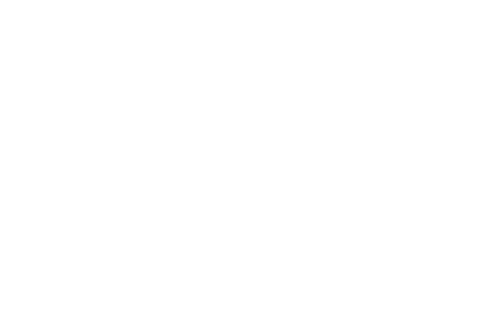 Случай с художником