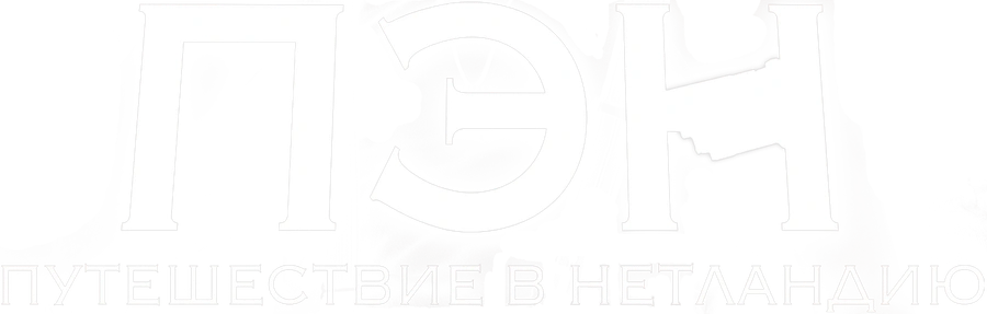 Пэн: Путешествие в Нетландию