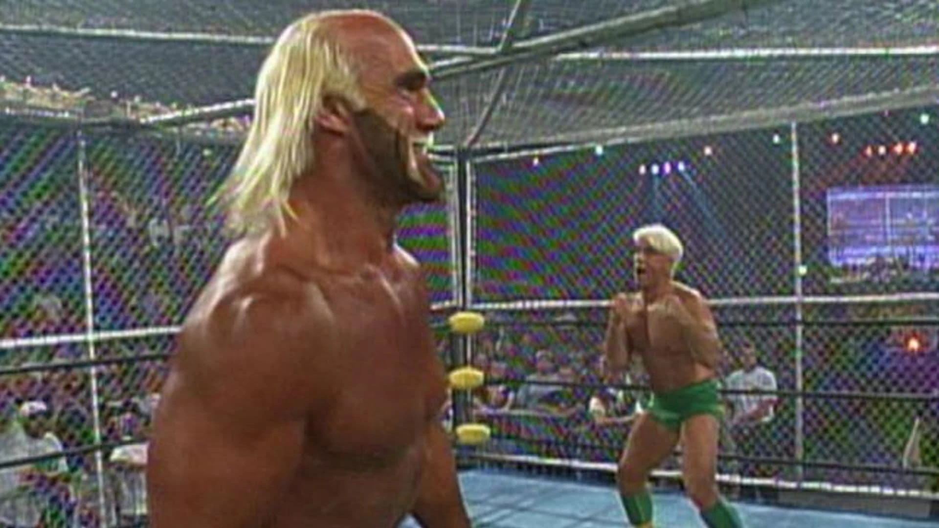 WCW Жесткая драка 1996