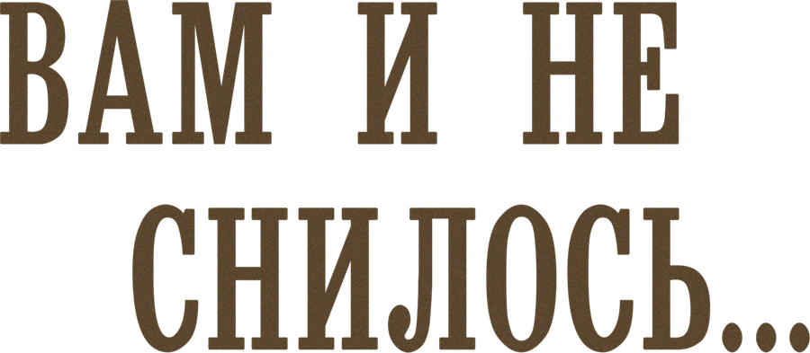 Вам и не снилось...