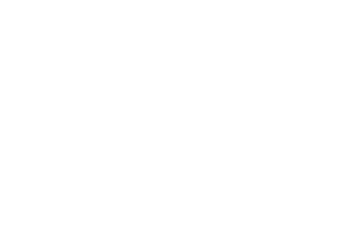 Чужая земля