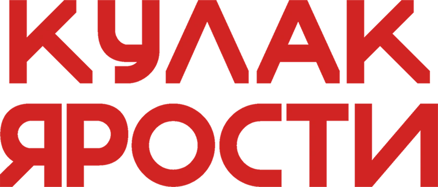 Кулак ярости