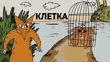 Клетка