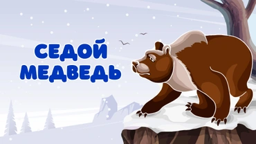 Седой медведь