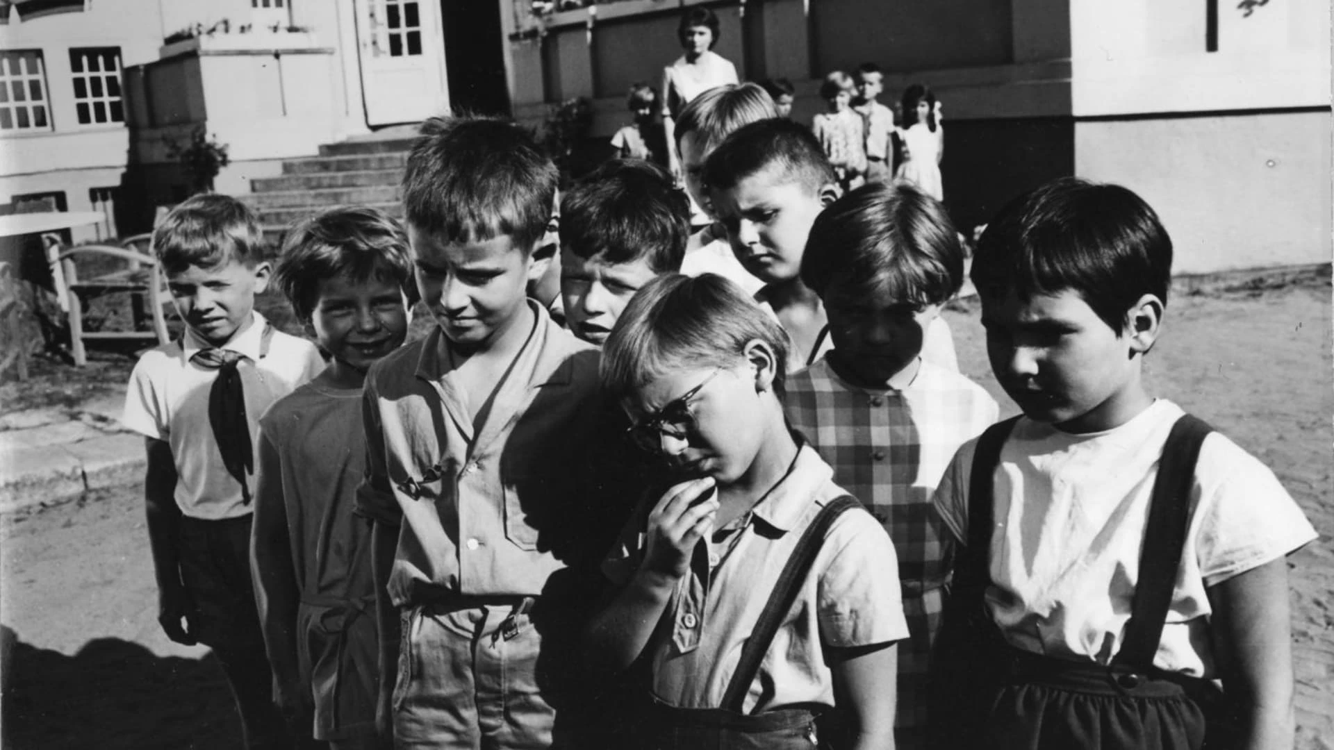 В поисках удивительно красивой птицы