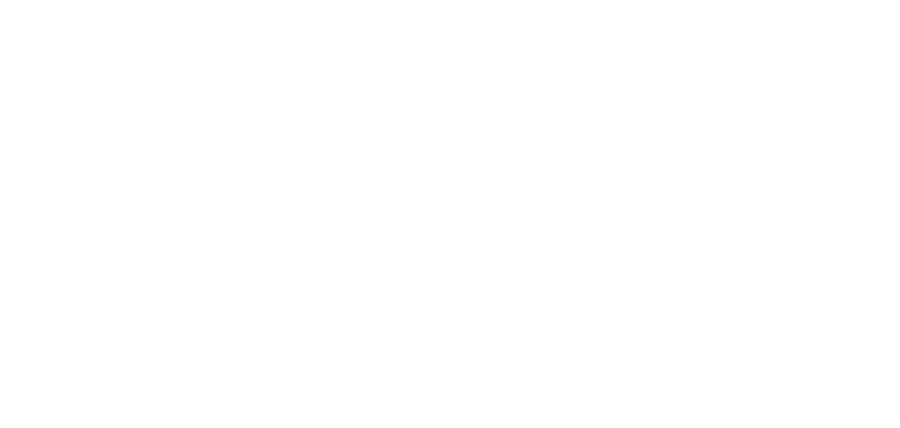 Во всем виноват енот