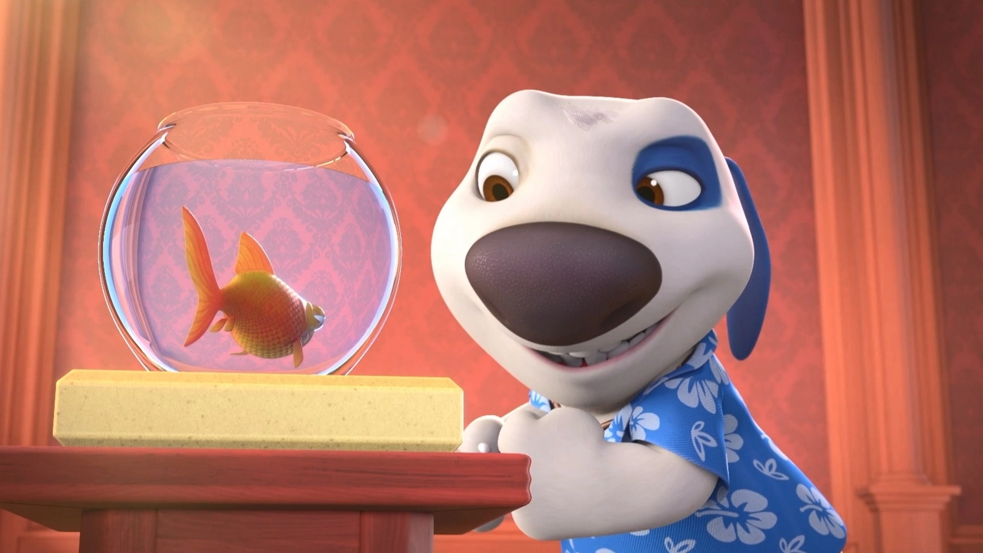 Новый директор