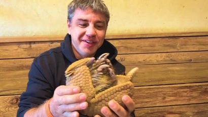 222 серия. Настя и папа изучают диких животных в зоопарке