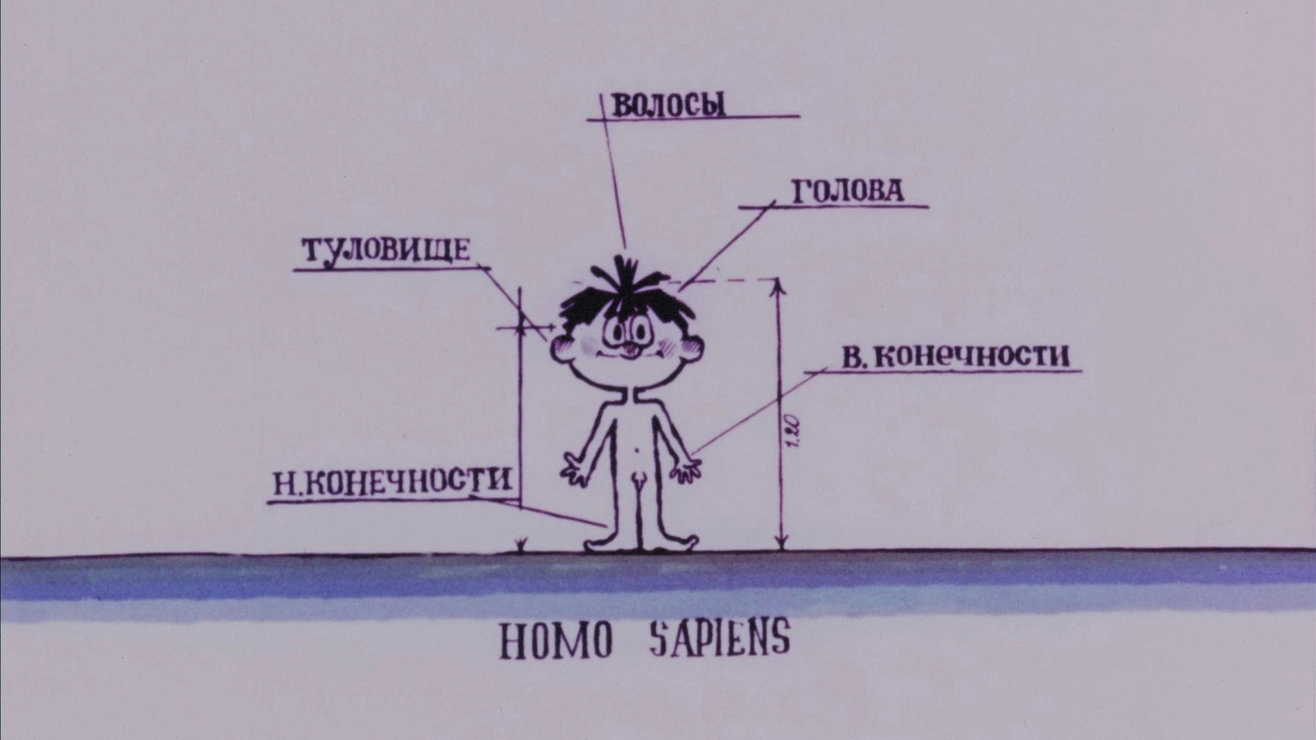 1 серия