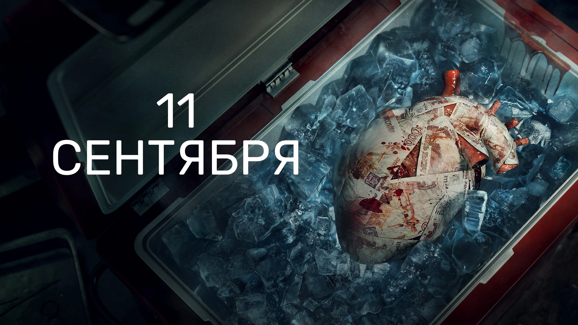 5 серия