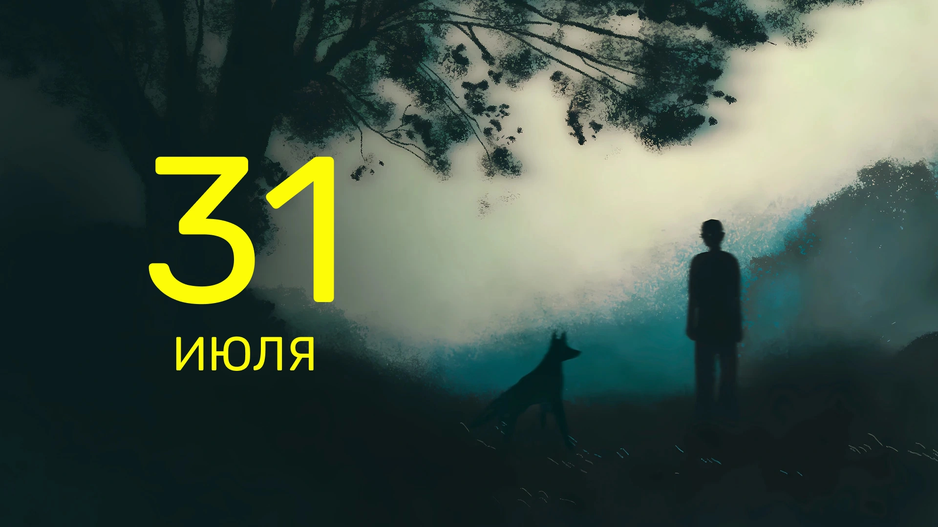 6 серия