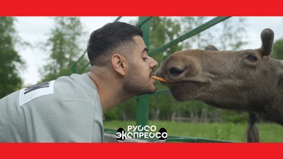 Ярославль