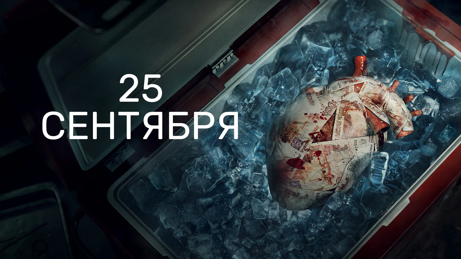 7 серия