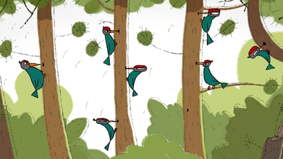 Чей нос лучше?