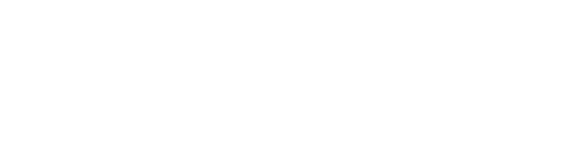 Цвет истории