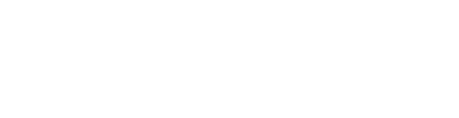 Цвет истории