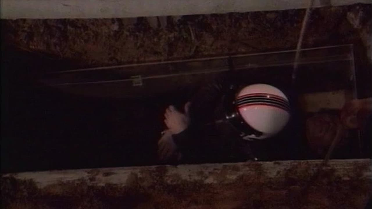 Позвоночник