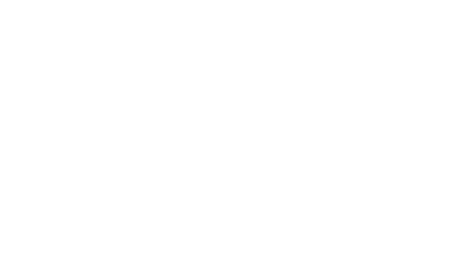 KUSTENDORF CONCERT. Фильм-концерт Эмира Кустурицы