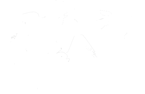 Звезда океана