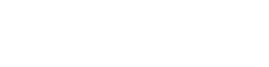 Шпион, который меня кинул