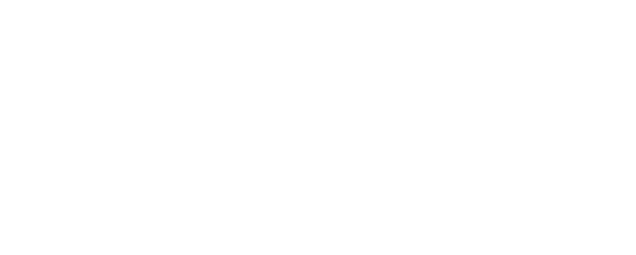 Жена по совместительству