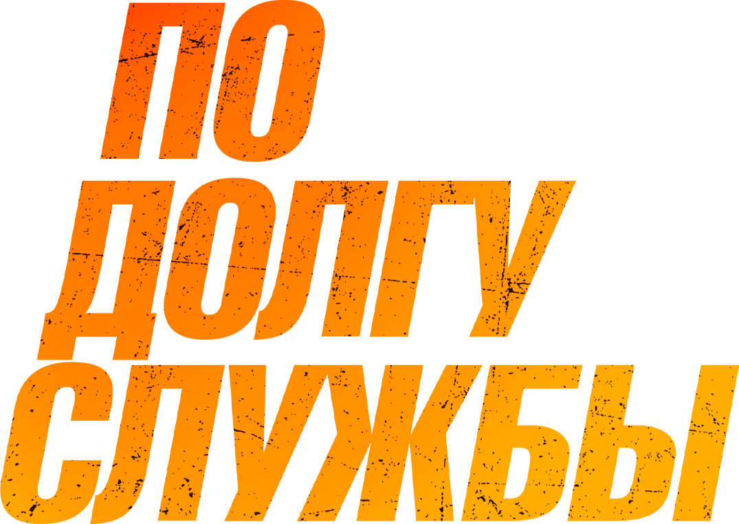 По долгу службы (2019)