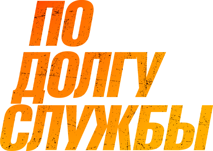 По долгу службы (2019)