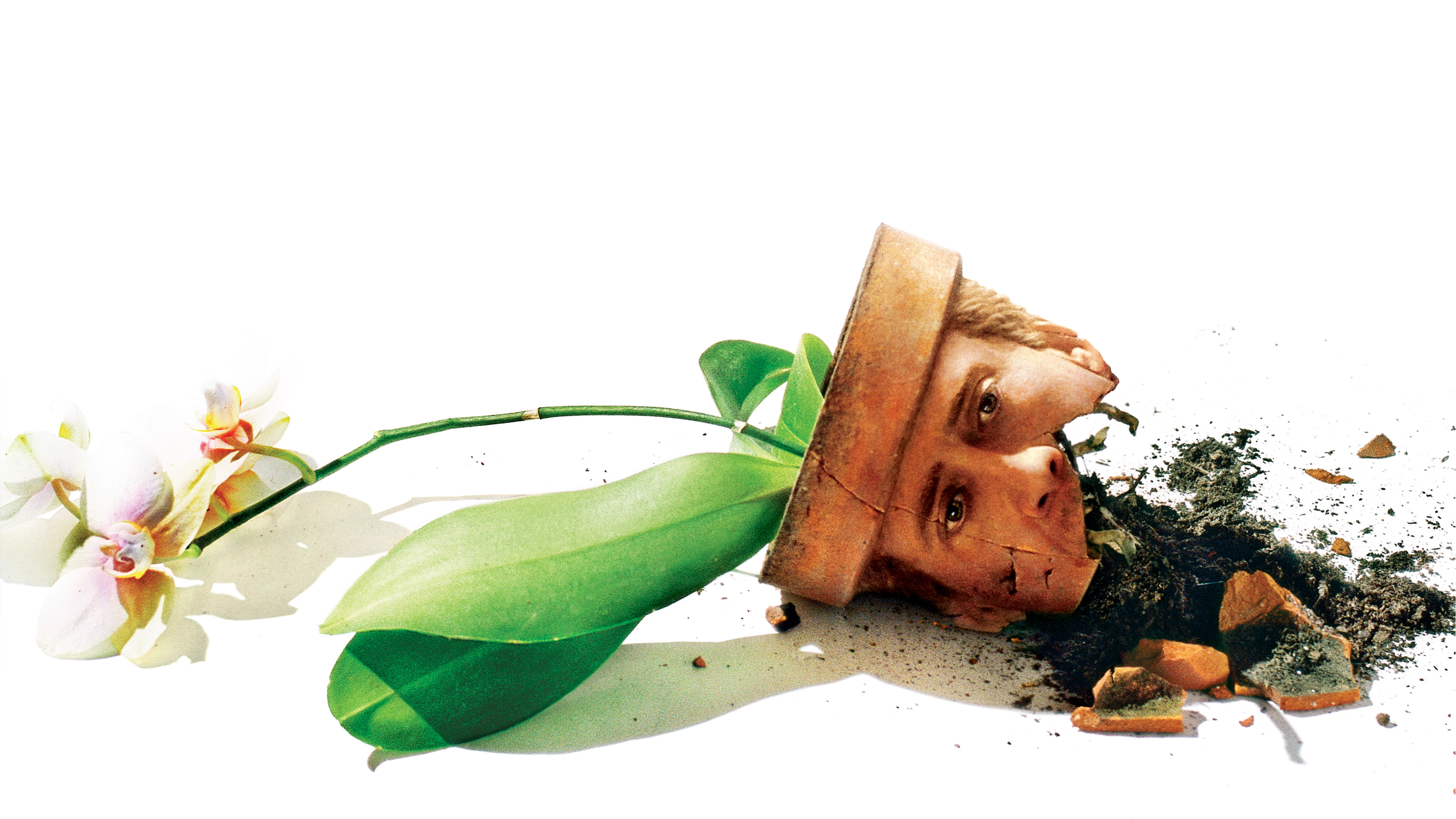 Адаптация (2002)