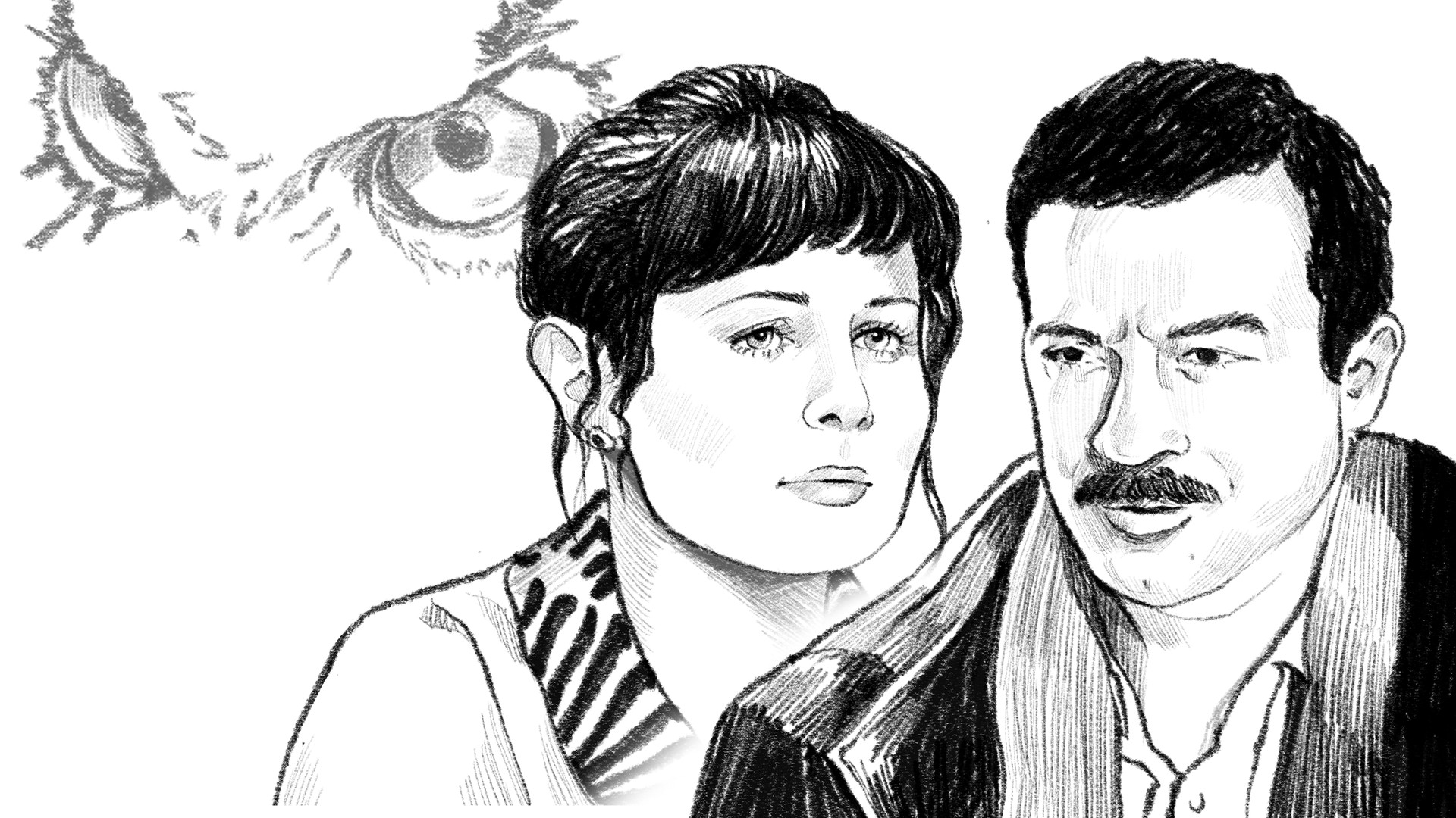 Ночь одинокого филина