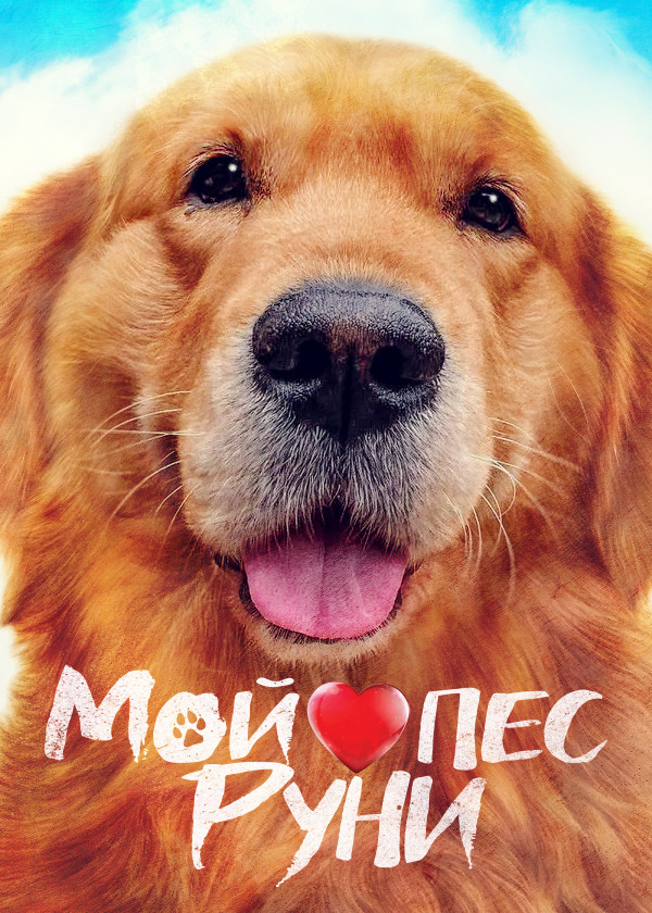 Мой пес Руни