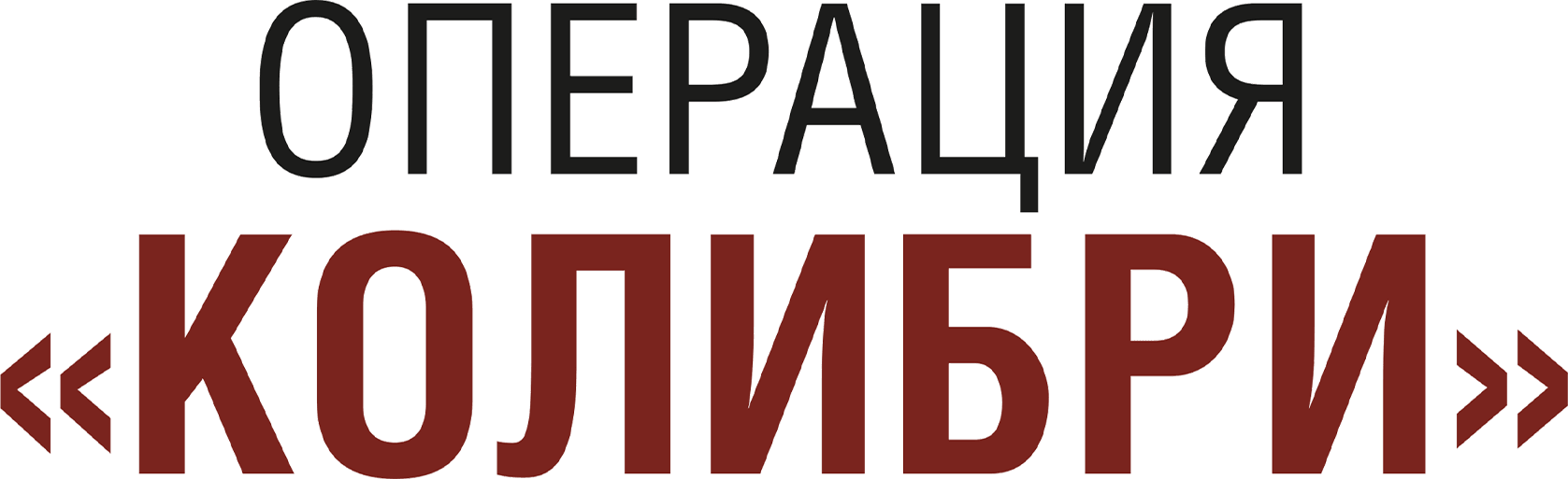 Операция «Колибри»