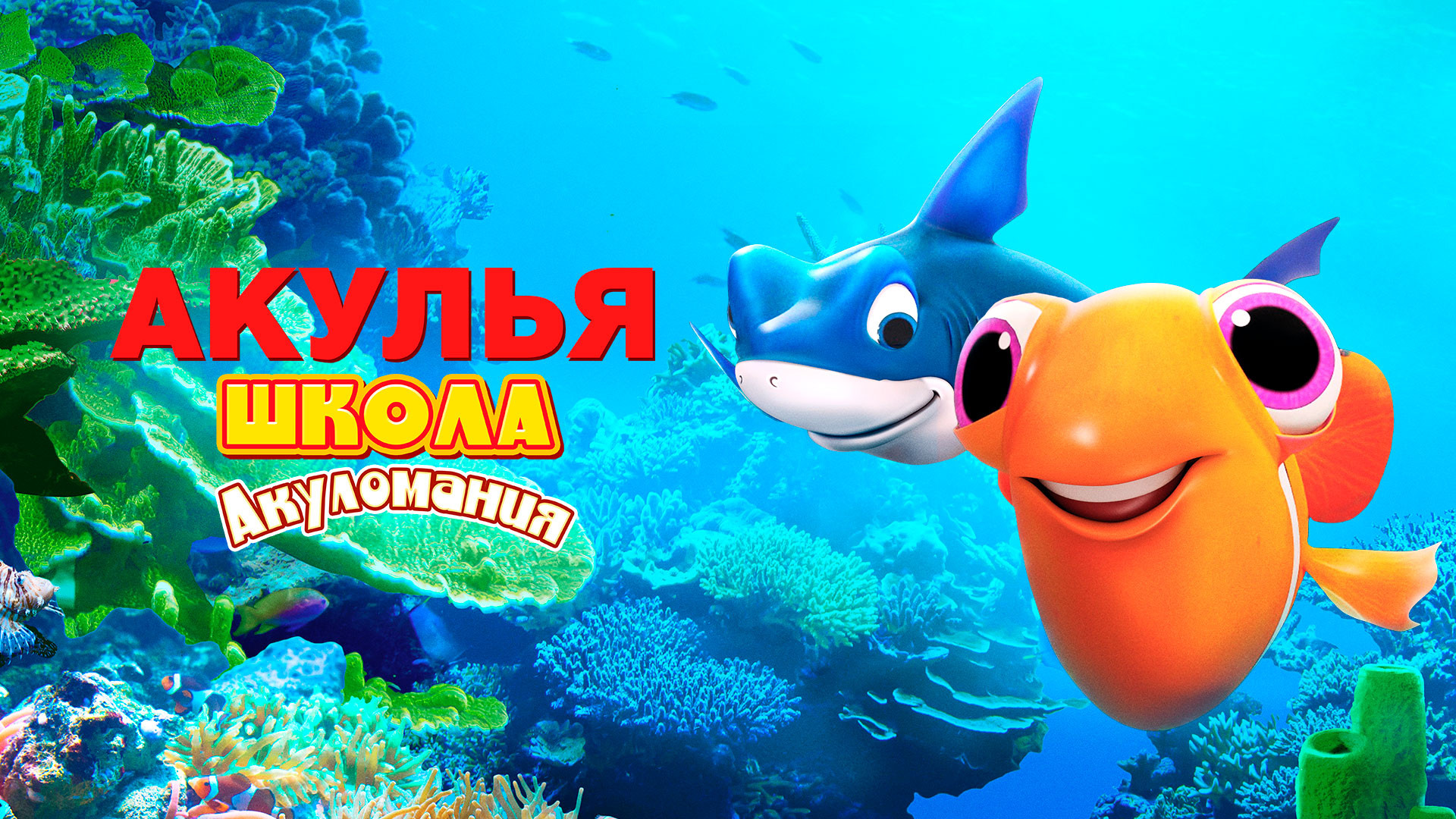 Акулья школа. Акуломания