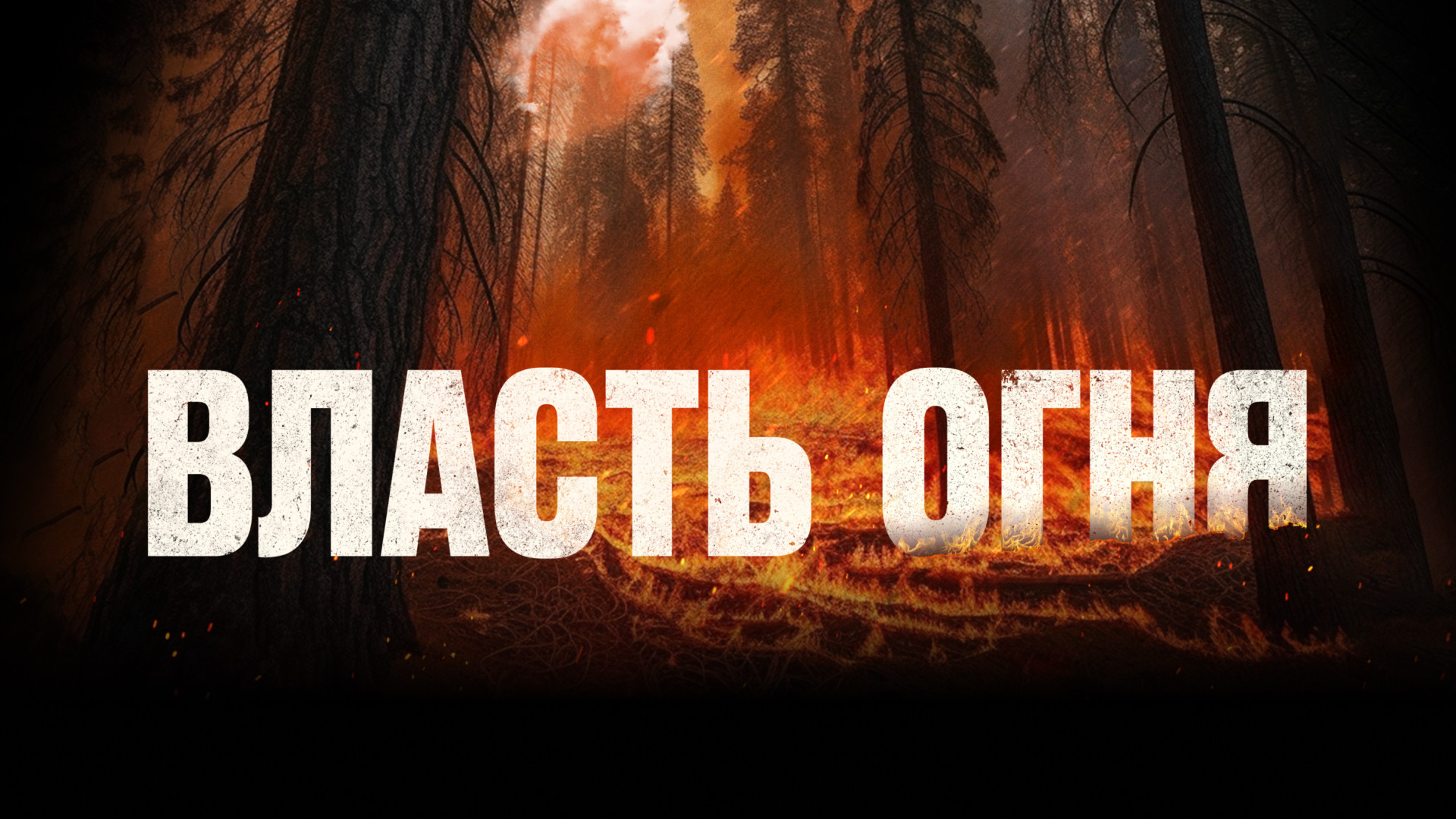 Власть огня