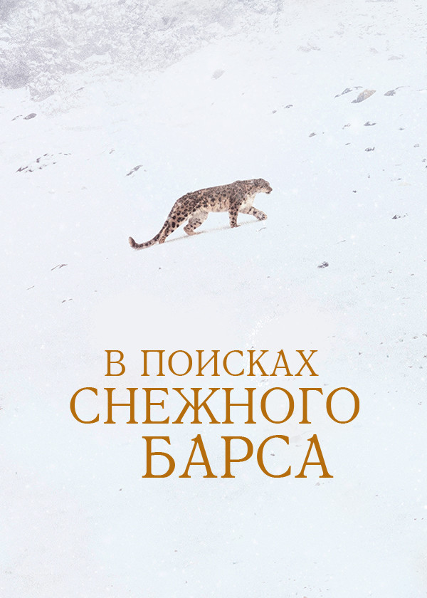 В поисках снежного барса