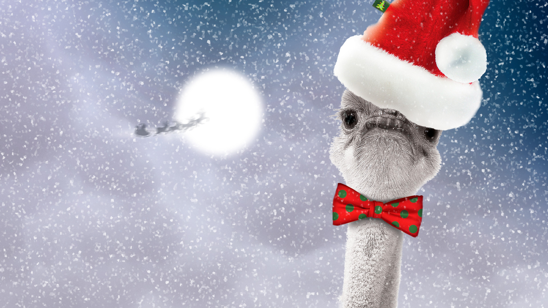 Новогодний переполох (2013)